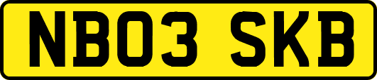 NB03SKB