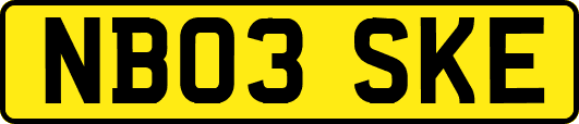 NB03SKE