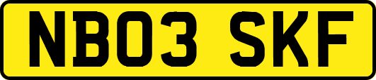 NB03SKF