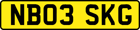 NB03SKG