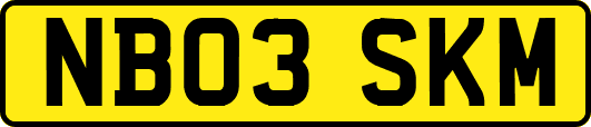 NB03SKM