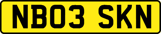 NB03SKN