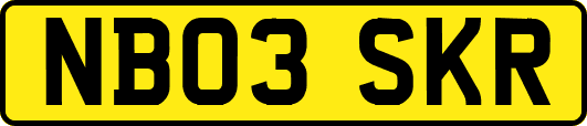 NB03SKR