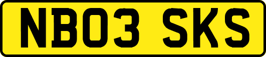 NB03SKS