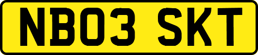 NB03SKT