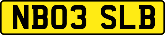 NB03SLB