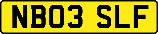 NB03SLF