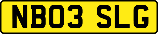 NB03SLG