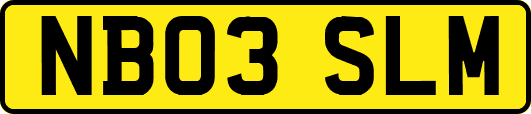 NB03SLM