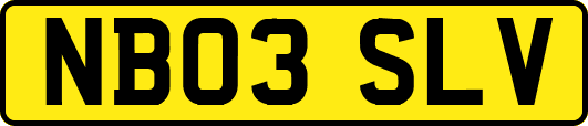 NB03SLV