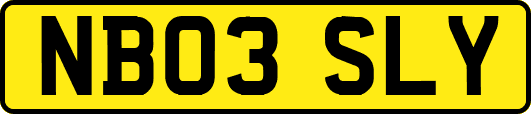 NB03SLY