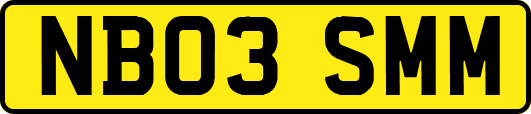 NB03SMM