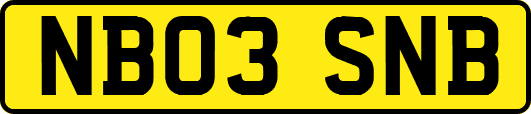 NB03SNB