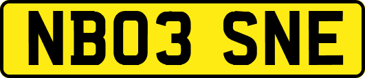 NB03SNE