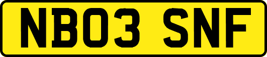 NB03SNF
