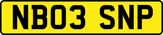 NB03SNP