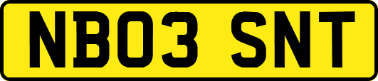 NB03SNT
