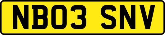 NB03SNV
