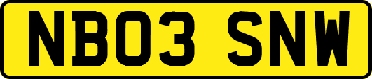 NB03SNW