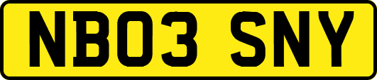 NB03SNY
