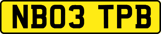 NB03TPB