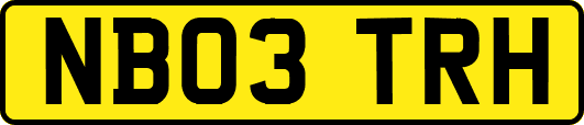 NB03TRH