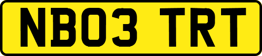 NB03TRT