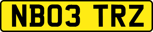 NB03TRZ