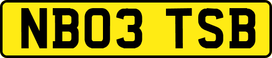 NB03TSB