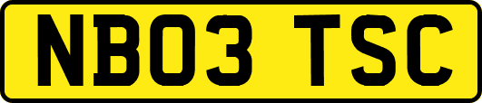 NB03TSC