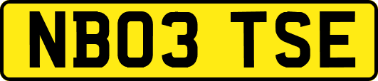 NB03TSE