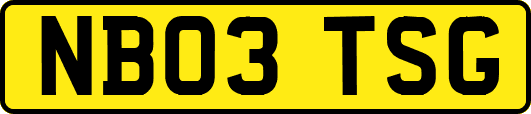 NB03TSG