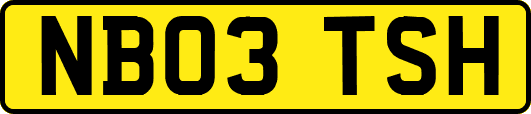 NB03TSH