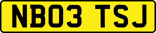 NB03TSJ