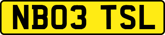 NB03TSL