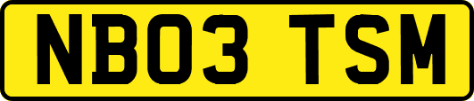 NB03TSM