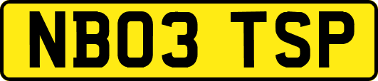 NB03TSP