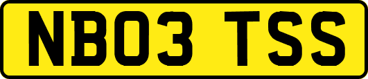 NB03TSS