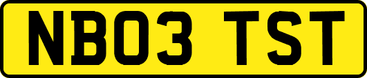 NB03TST