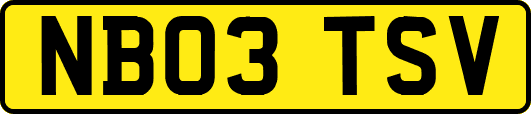 NB03TSV