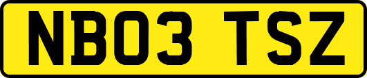 NB03TSZ