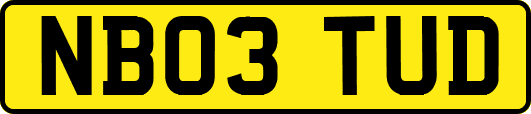 NB03TUD