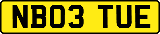 NB03TUE