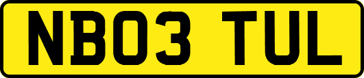 NB03TUL