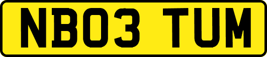 NB03TUM