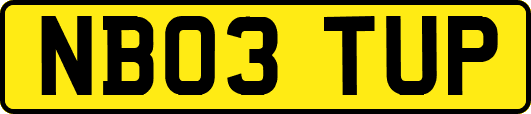 NB03TUP