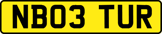 NB03TUR
