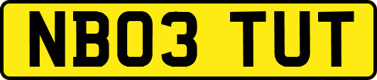 NB03TUT