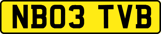 NB03TVB