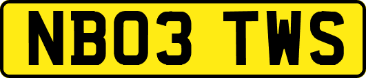 NB03TWS